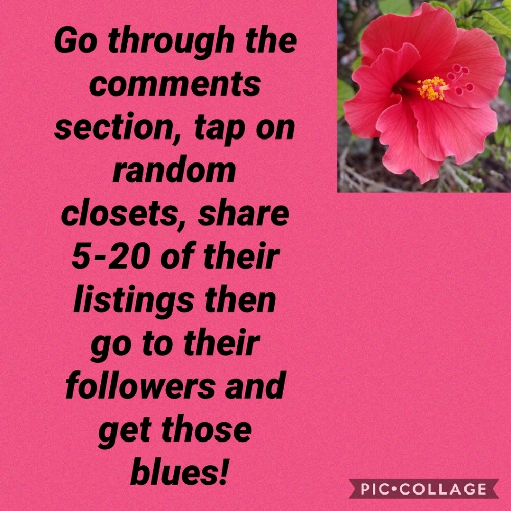 💕 Come grab some followers y'all! 😊💕 - Picture 2 of 5